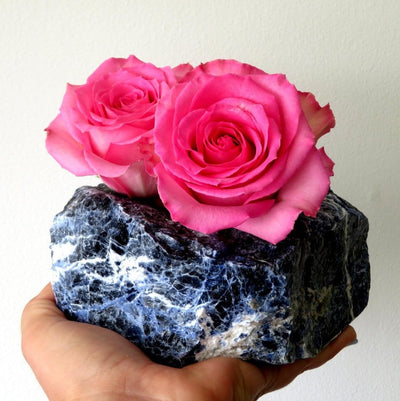 one sodalite planter with roses in hand on plain background for size reference