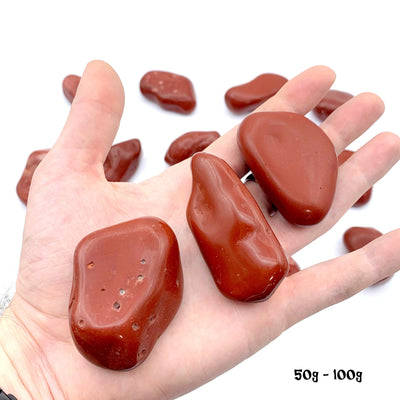 Hand holdng up 3 50-100g Red Jasper in front of others on white background