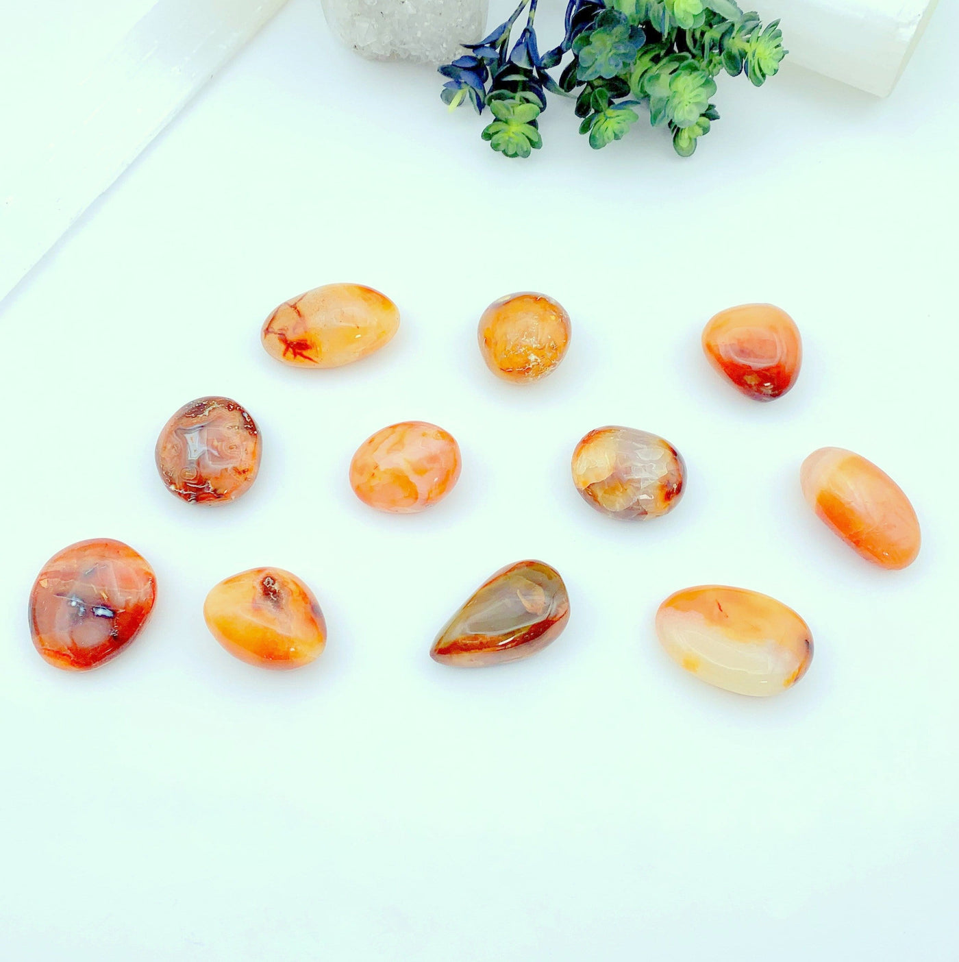 11 carnelian stones on a  white background