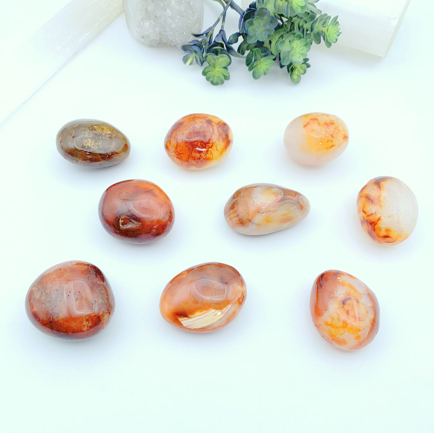 9 carnelian stones on a white background