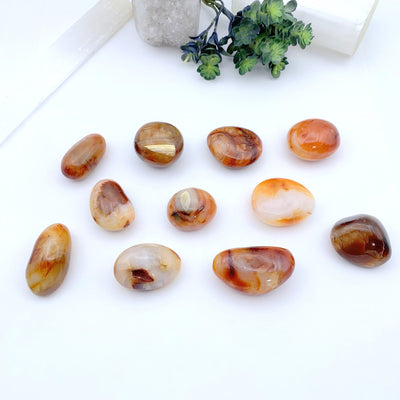 11 carnelian stones on a white background