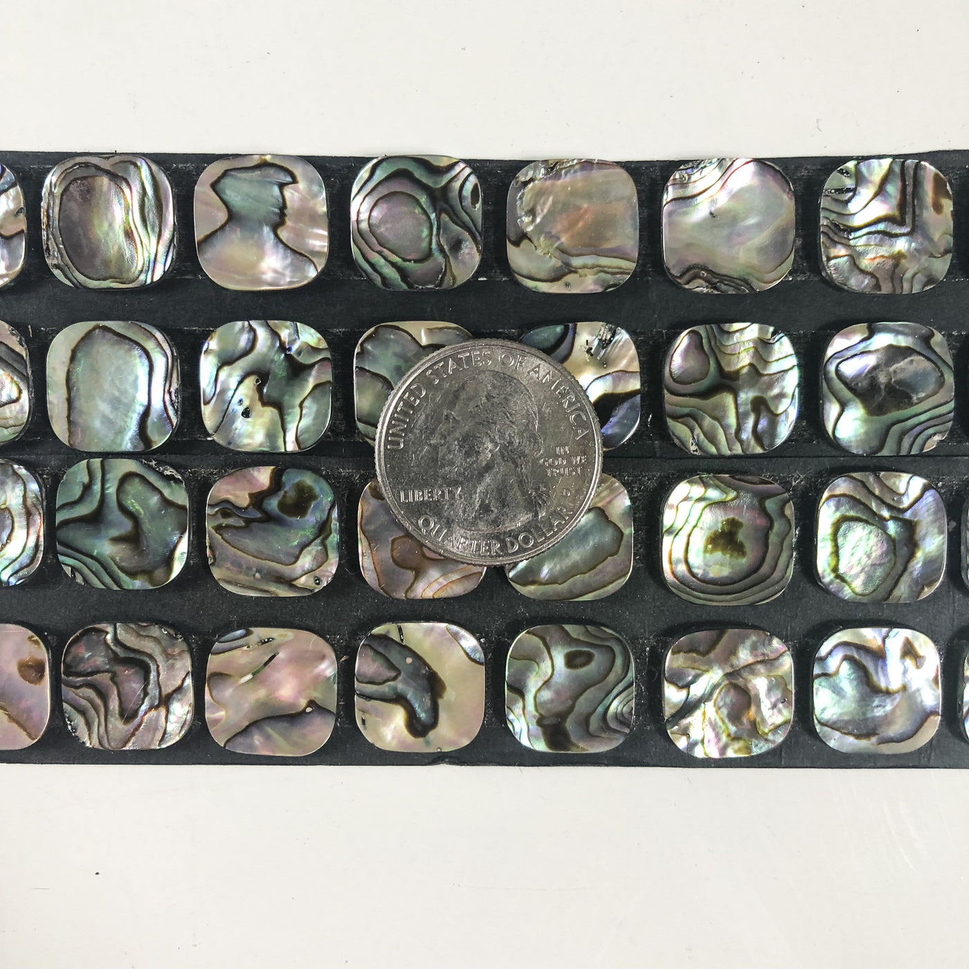 Abalone Squares shown with a quarter for size reference.