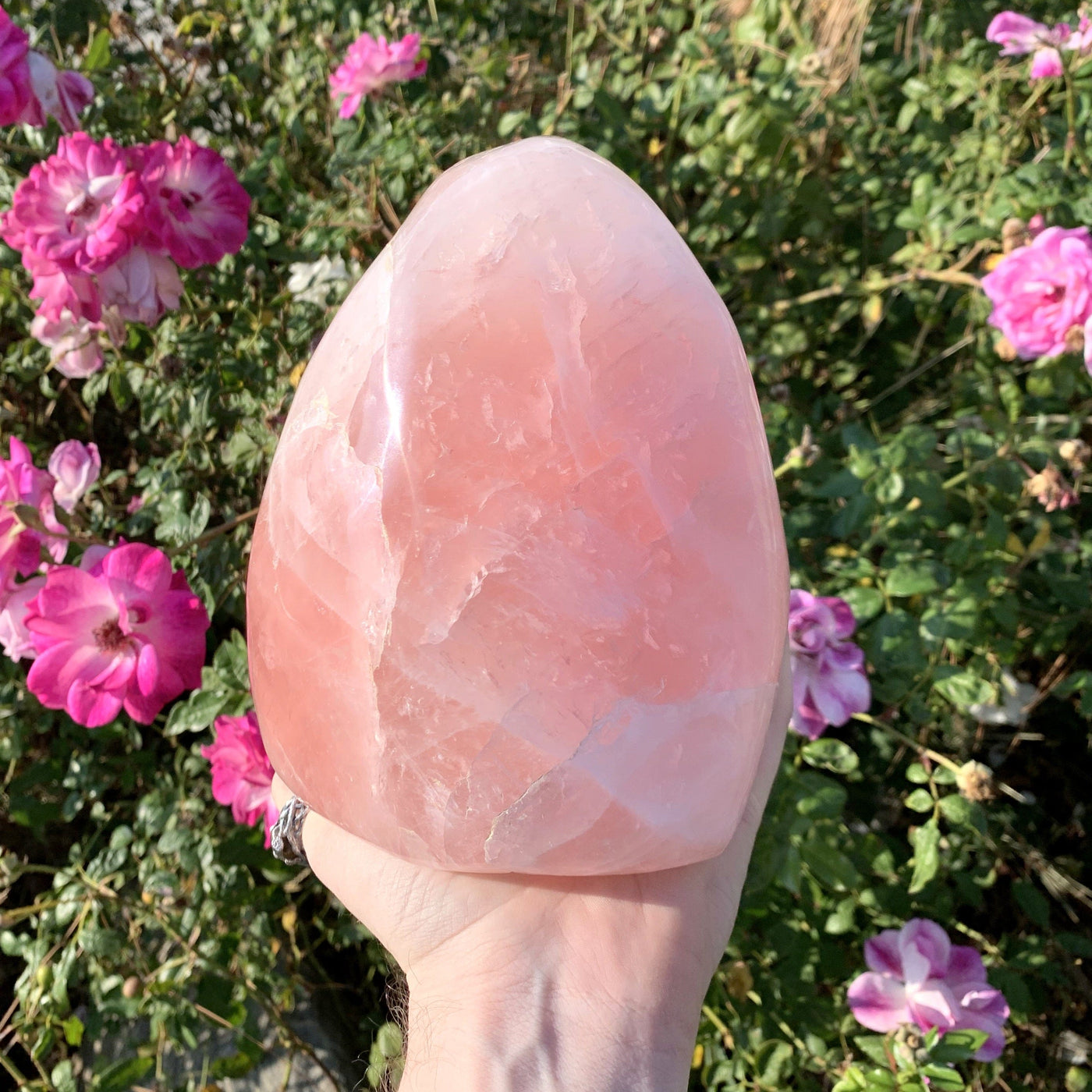 Rose quartz in hand with a floral background