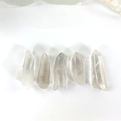 5 Natural Lemurian Quartz Points laid out to view various characteristics between each point