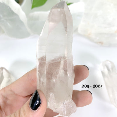 Natural Lemurian Quartz Points in weight 100g-200g in hand for size reference