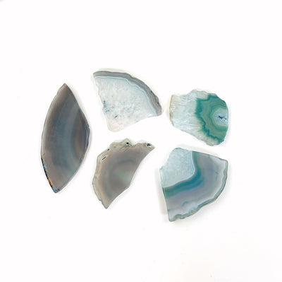 5 agate slices spread out on a white surface