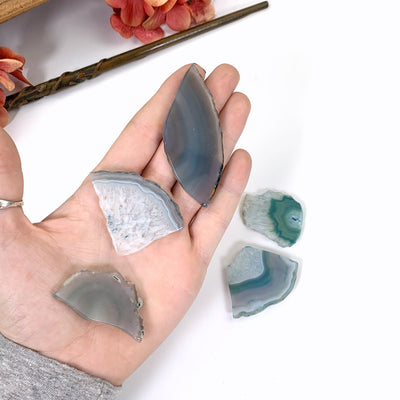 3 agate slices in hand with 2 agate slices sitting on the white background