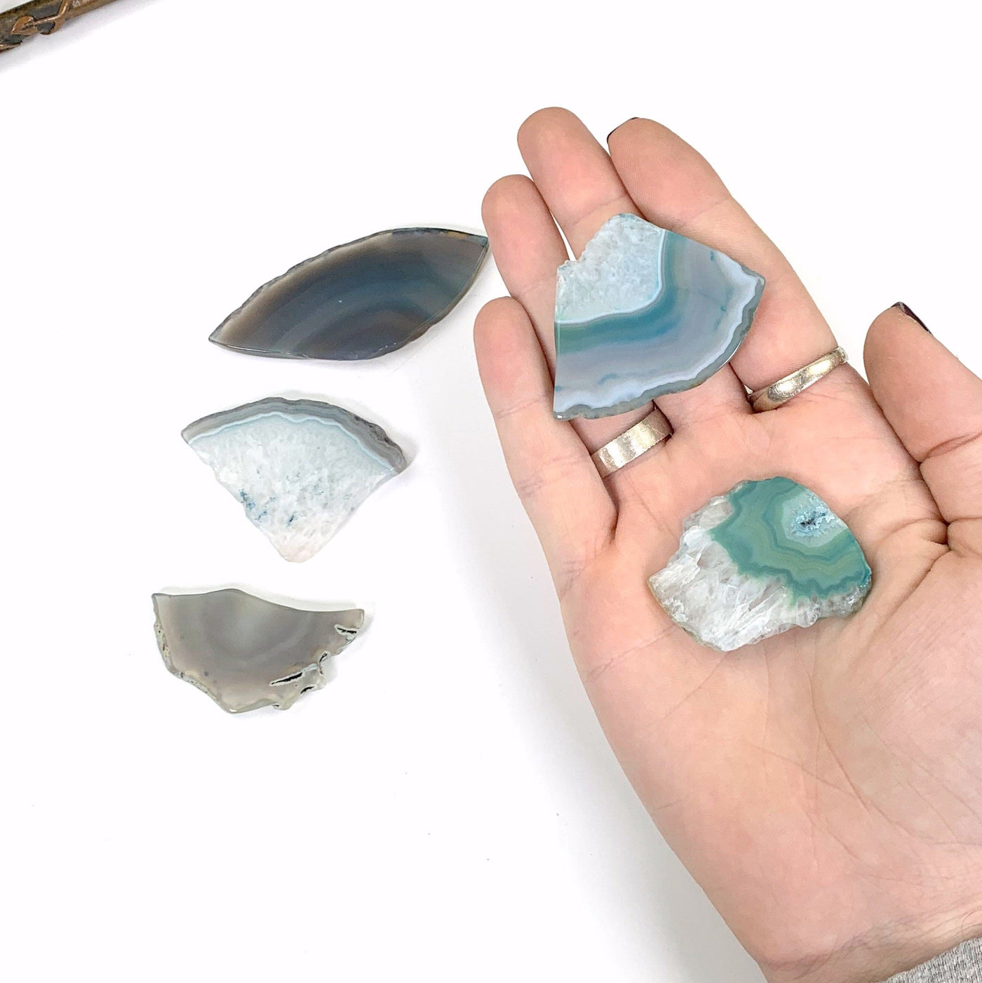 2 agate slices in a hand with the other 3 sitting on the white background