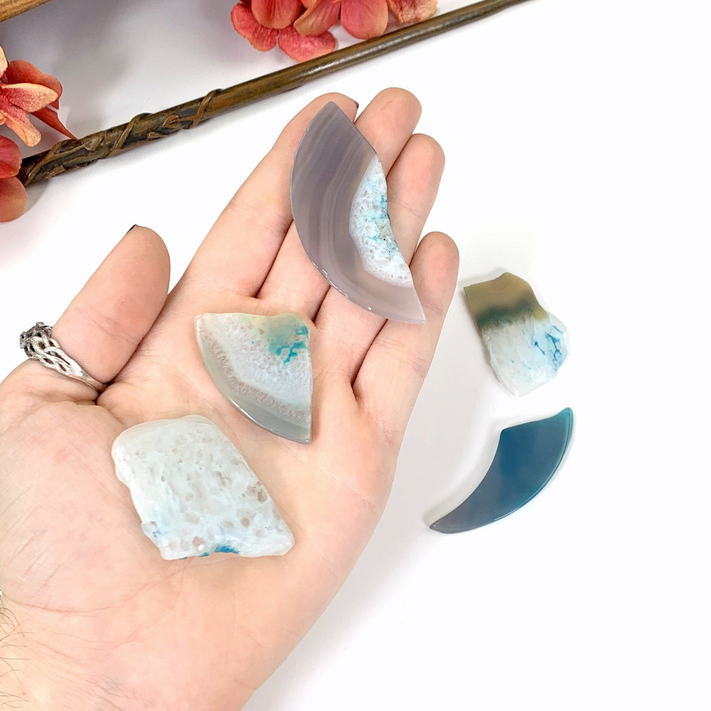 3 AGATE slices in a hand wit the other two sitting on the white background