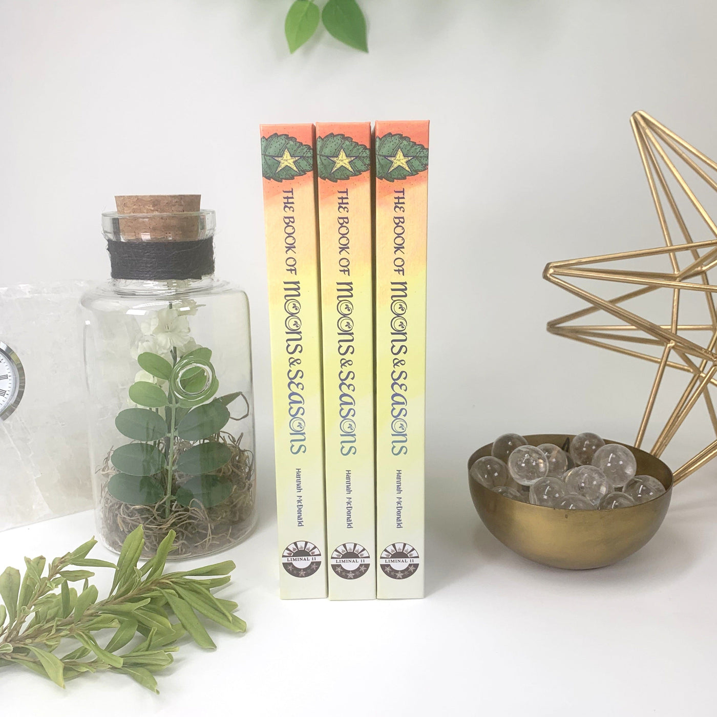 Books Displayed on a book shelf background, for décor reference.  