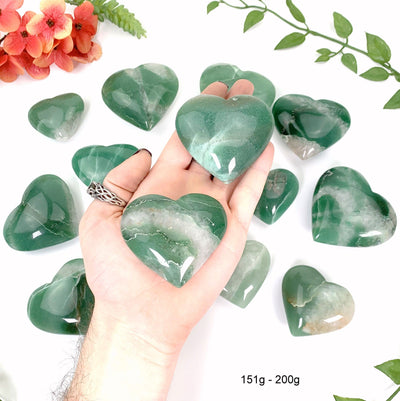 two 151g -200g green quartz hearts in hand with a white background