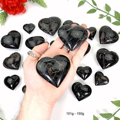 2 101gram - 150gram hearts in hand above a white background