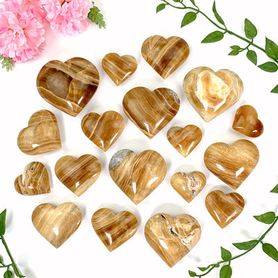 18 aragonite hearts laid out on a white background