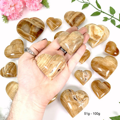 2 51 gram - 100 gram hearts in hand with a white background