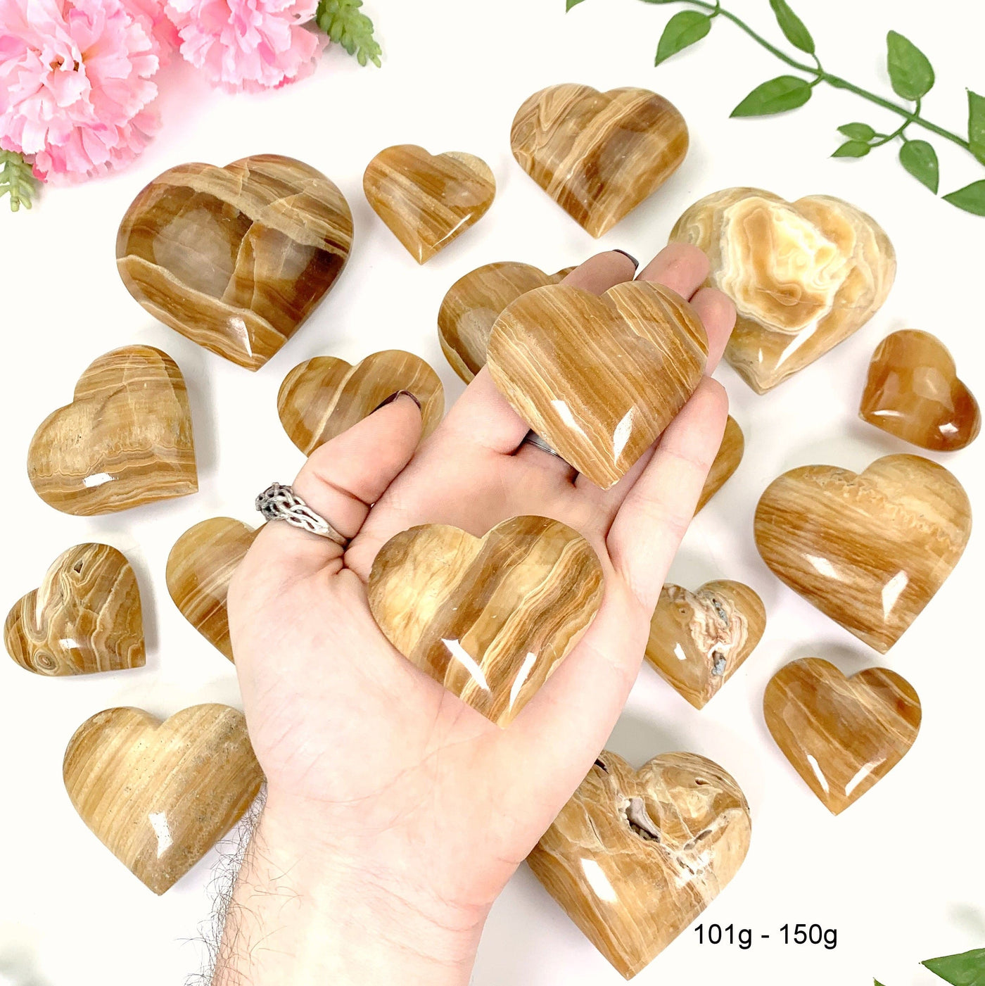 2 101 gram - 150 gram hearts in hand with a white background