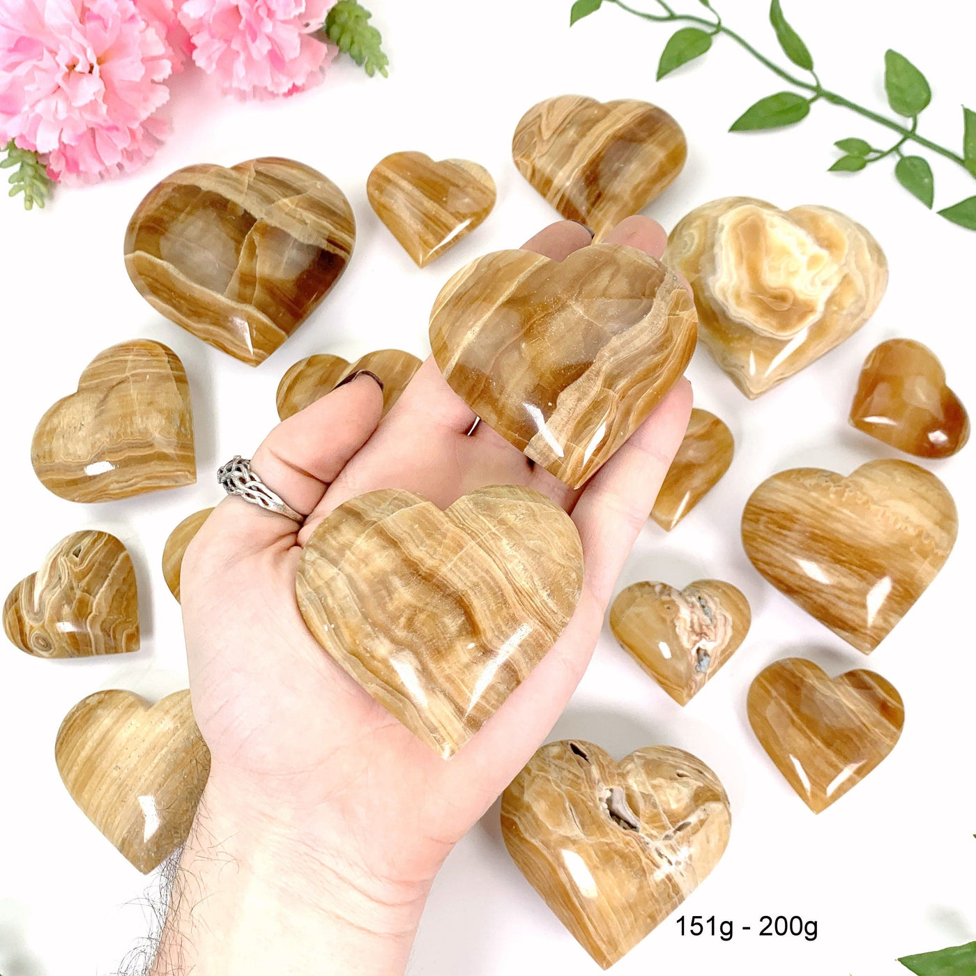 2 151 gram - 200 gram hearts in hand with a white background
