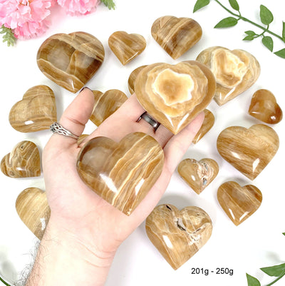 2 201 gram - 250 gram hearts in hand with a white background