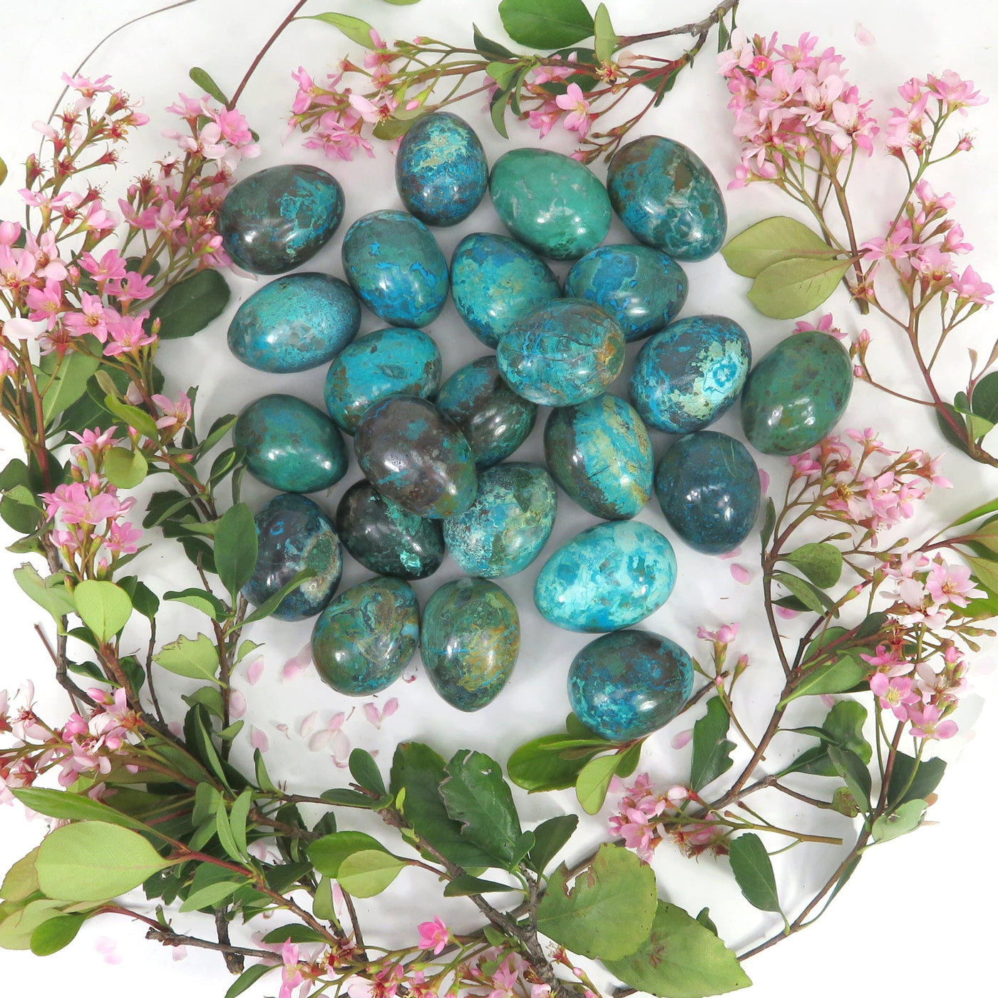 Chrysocolla Polished Stone Eggs to show the differences in size, shape and color. 