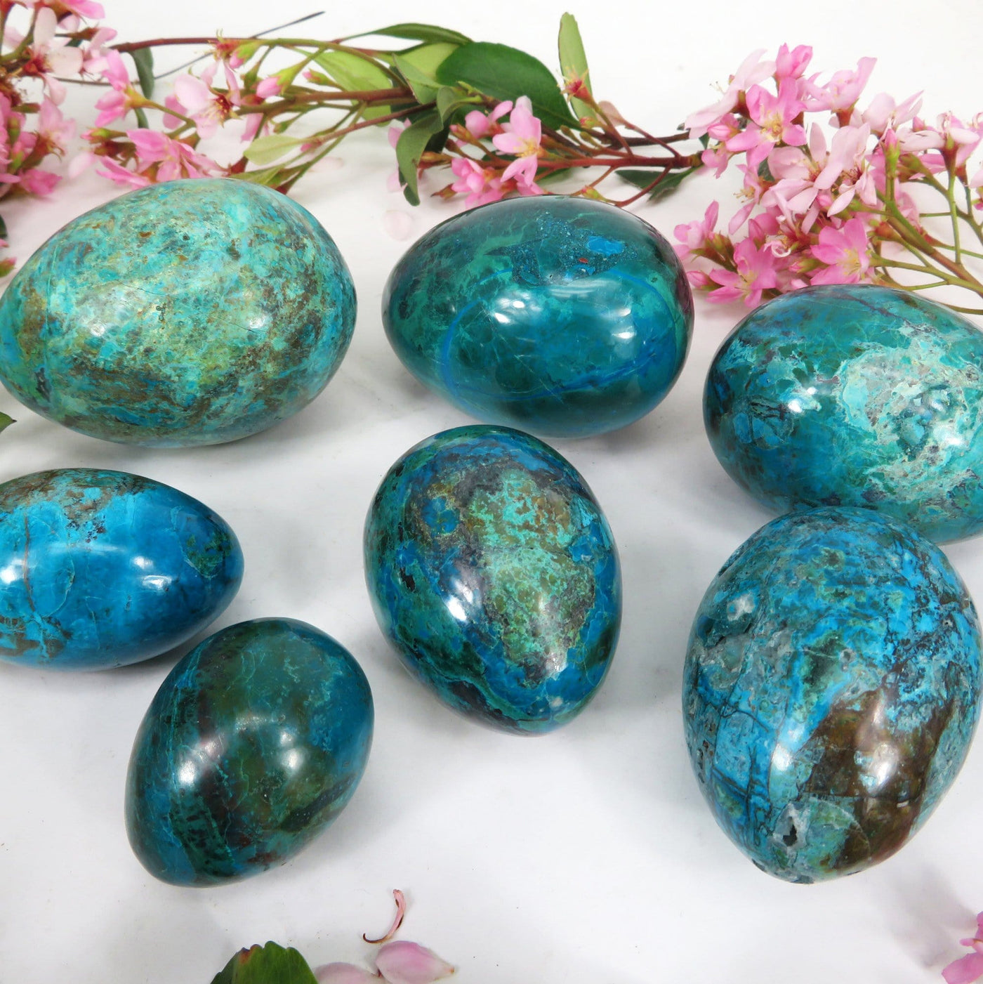Eight Chrysocolla Polished Stone Eggs to show the differences in size, shape and color. 