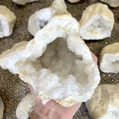 White Quartz Druzy Half Geode  in hand to show various shapes formations sizes druzies points 