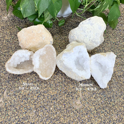 photo with small and medium geodes labeled and shown both open and closed