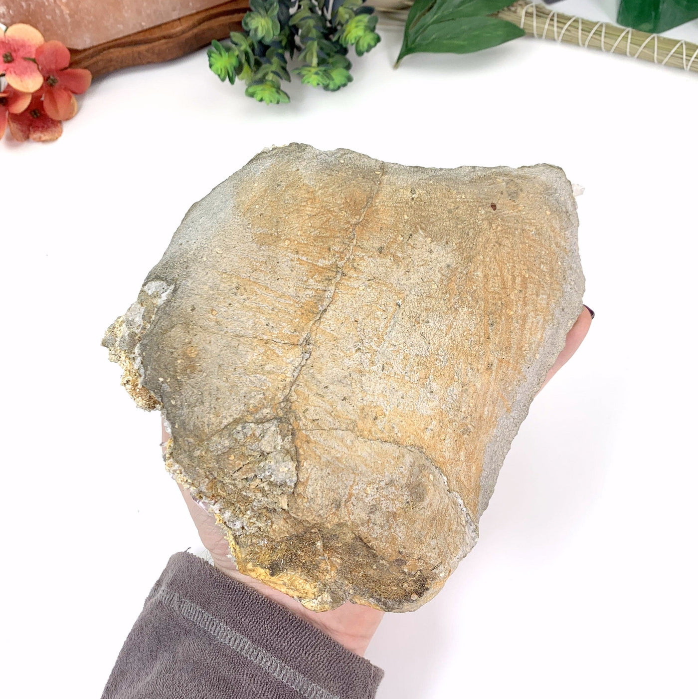 back side of veracruz aemthyst showing a greyish rock