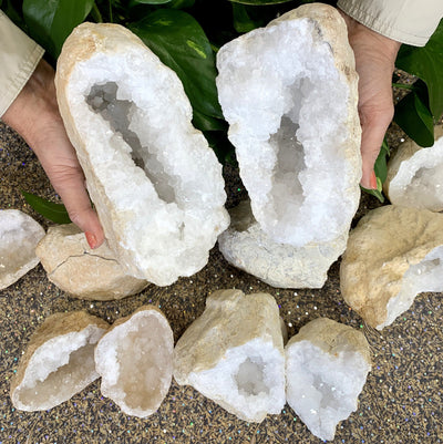 extra large geode being held in a woman's hands so you can see it open with sparkling white druzy.  Other size geodes are in the background.