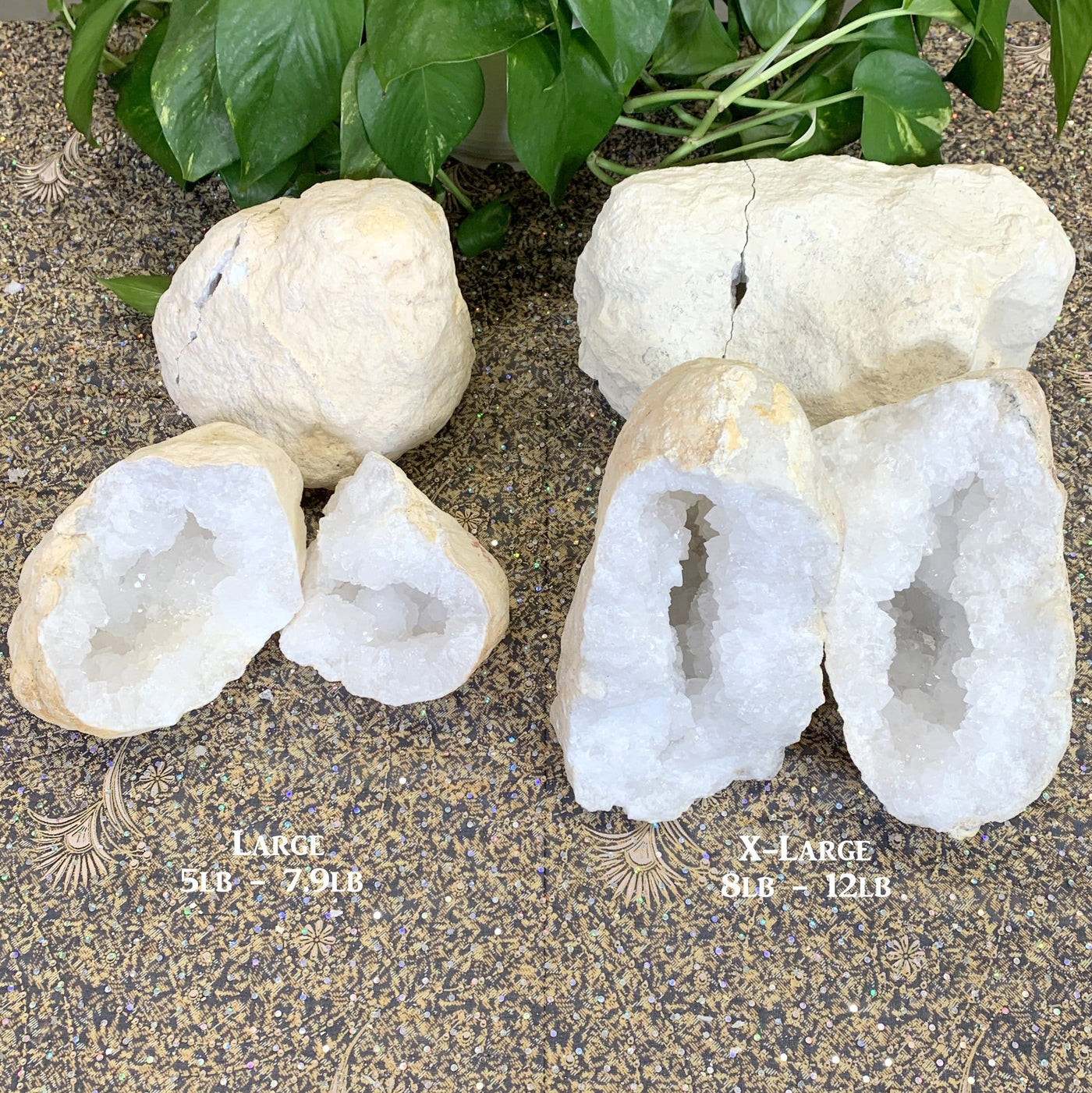 photo of large and extra large geode labeled shown both opened and closed