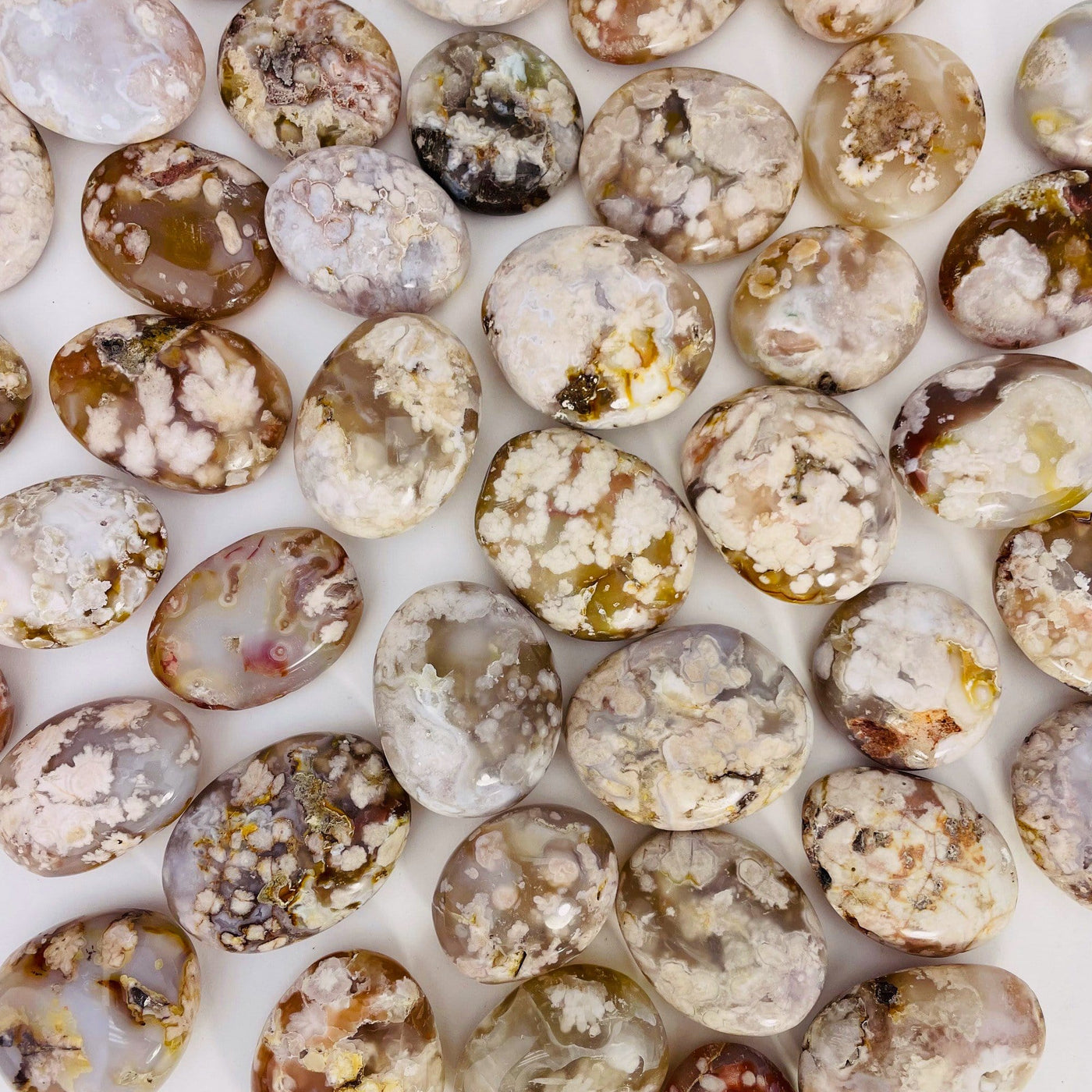 Multiple Flower Agate Polished Palm Stone next to each other on white background.