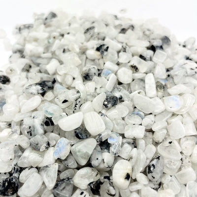 Moonstone Chips with black specks spread out on a table showing size variation