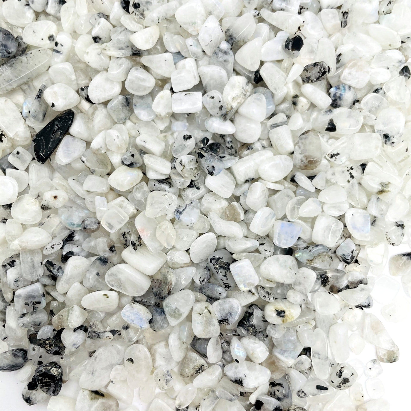 Moonstone Chips with black specks spread out on a table showing size variation