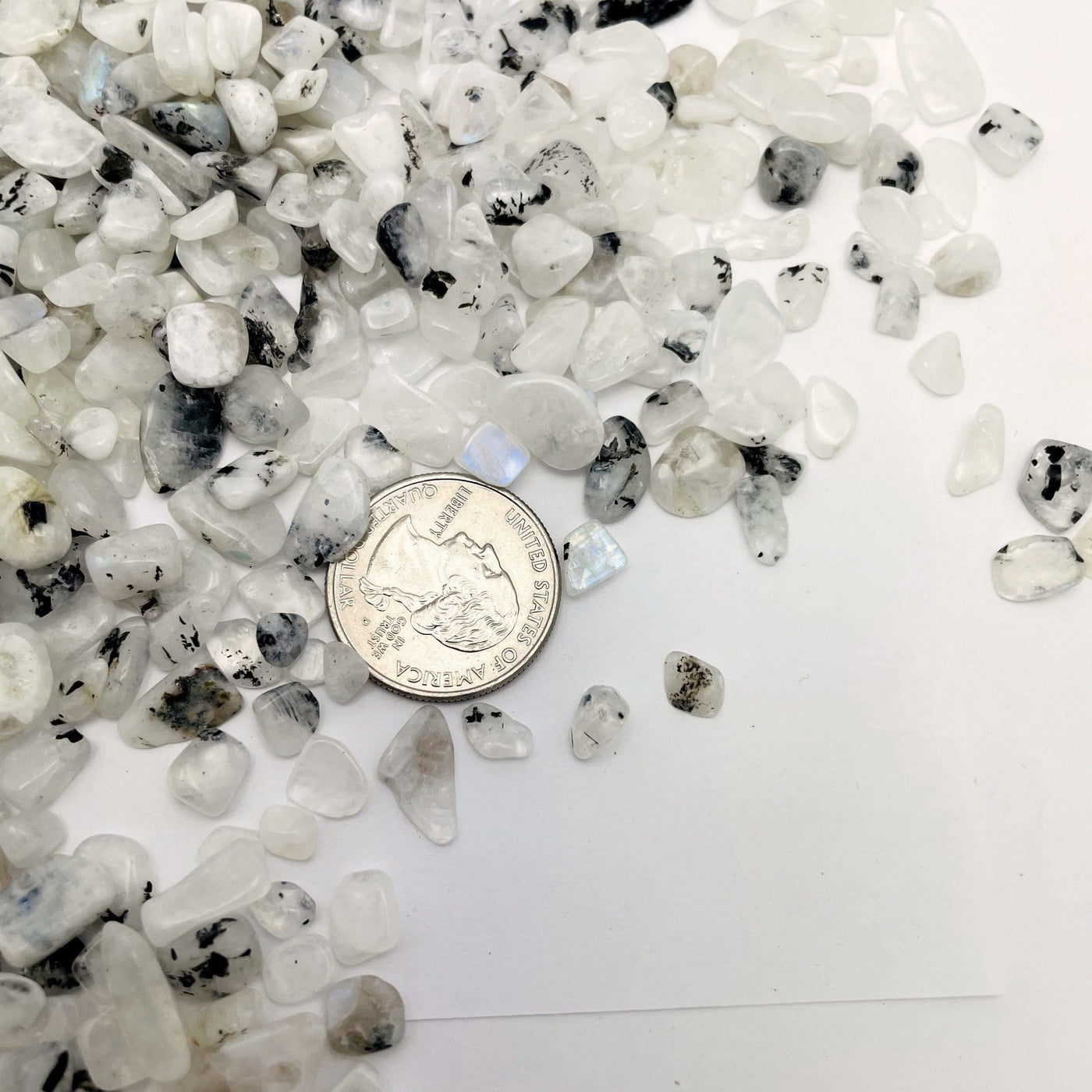 Moonstone Chips with black specks spread out on a table showing size variation next to a quarter 