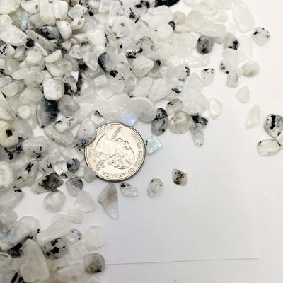 Moonstone Chips with black specks spread out on a table showing size variation next to a quarter 