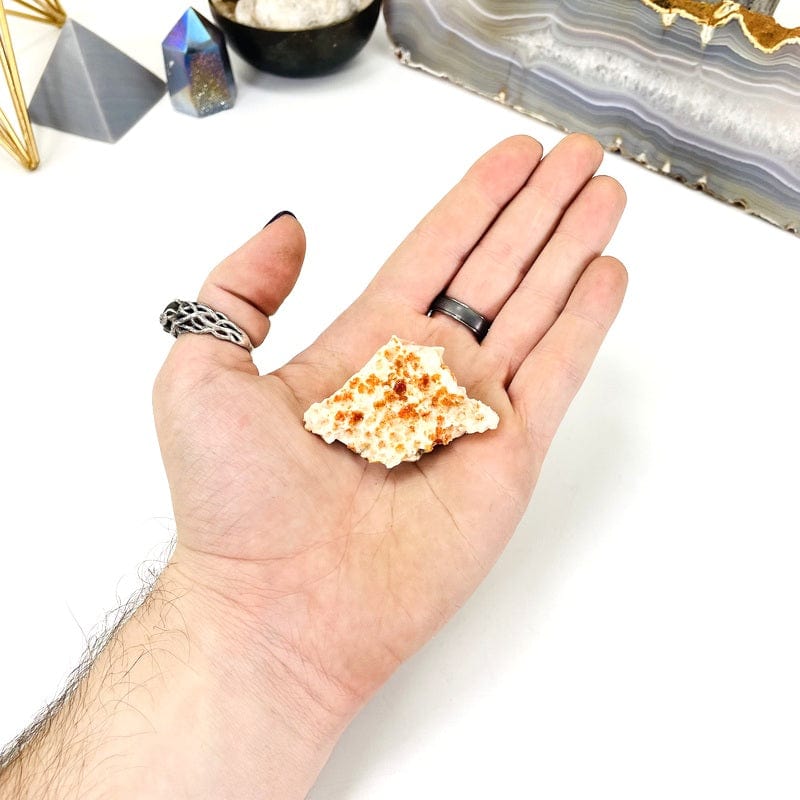 NATURAL VANADINITE CLUSTER IN HAND WITH WHITE BACKGROUND