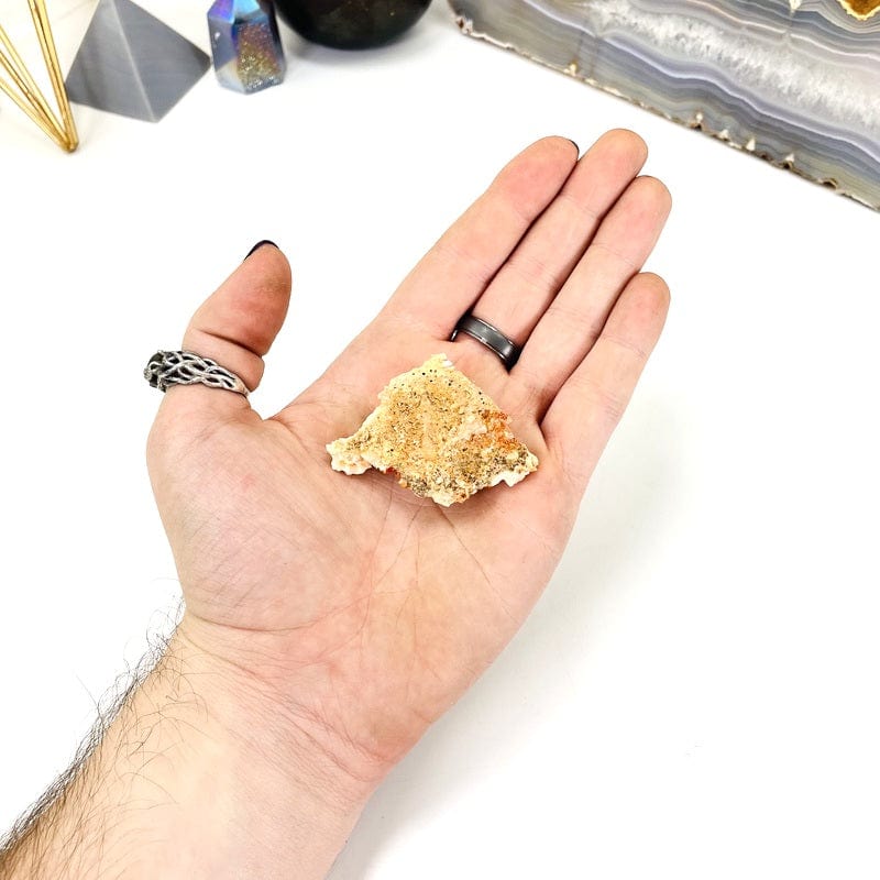 bottom view of natural vanadinite cluster in hand with a white background