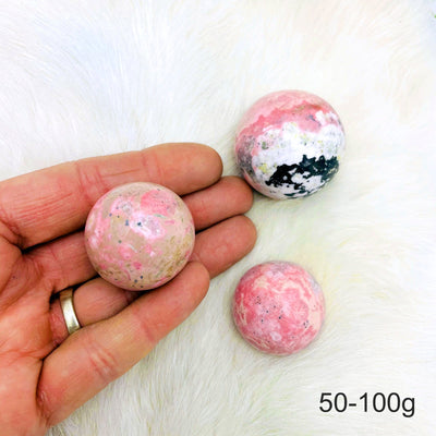 Hand holding up 1 50-100g Rhodonite Polished Sphere with 2 others on fur background