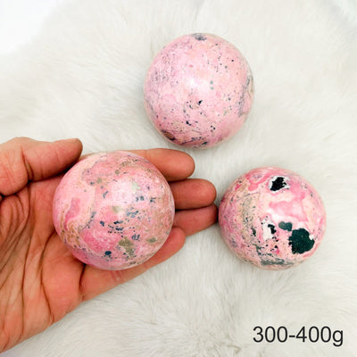 Hand holding up 1 300-400g Rhodonite Polished Sphere with 2 others on fur background