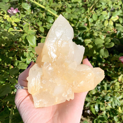 calcite cluster in hand with floral background