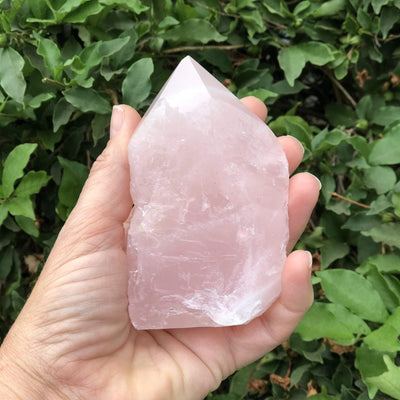 Hand holding up Rose Quartz Semi Polished Point in front of bush