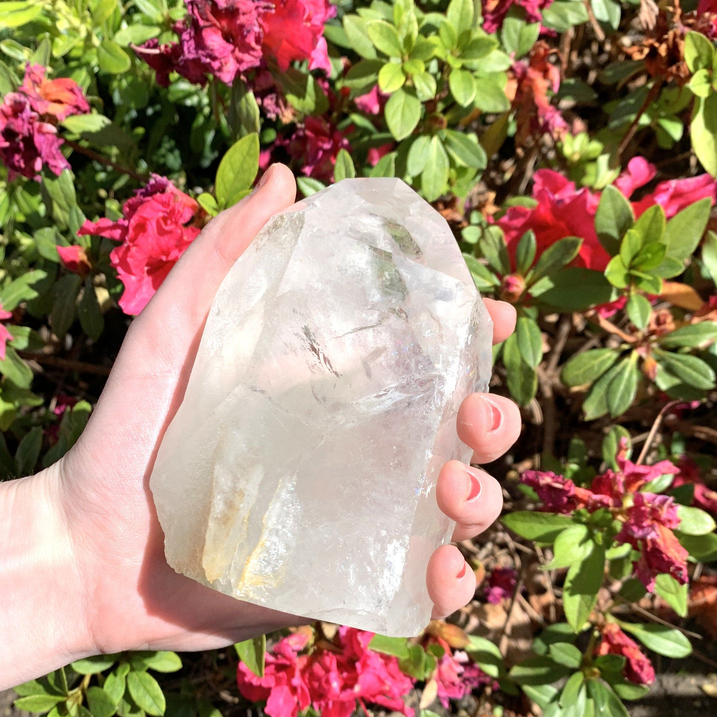 Hand holding closely of vibrant Crystal Quartz with floral background