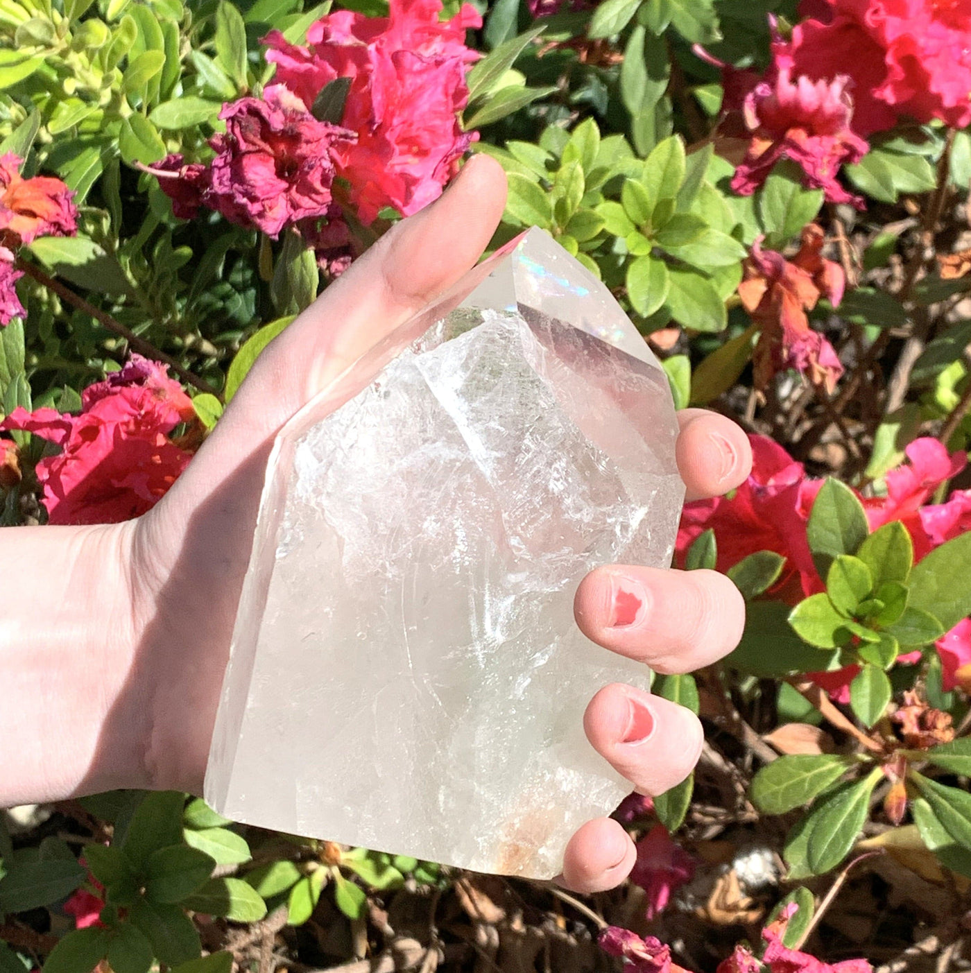 Hand holding beautiful Crystal Qaurtz with floral background