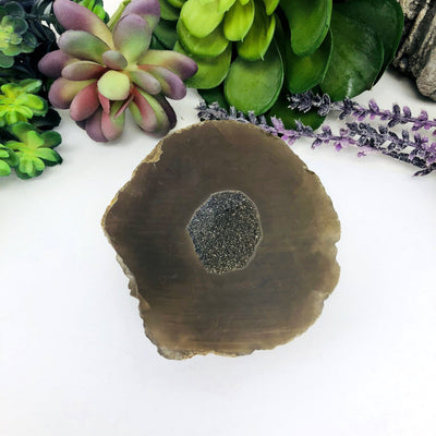 Titanium Agate Druzy Geode with decorations in the background