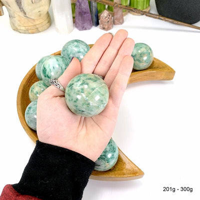 201 gram - 300 gram fuchsite sphere in hand with white background