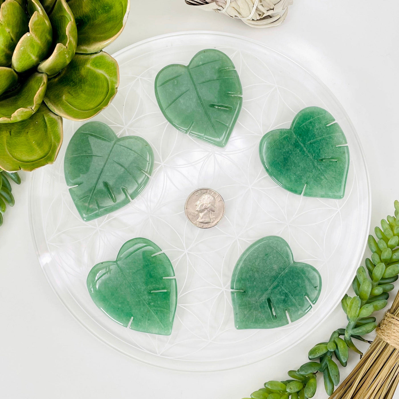 overhead view of five aventurine leaves on display with a quarter for size reference