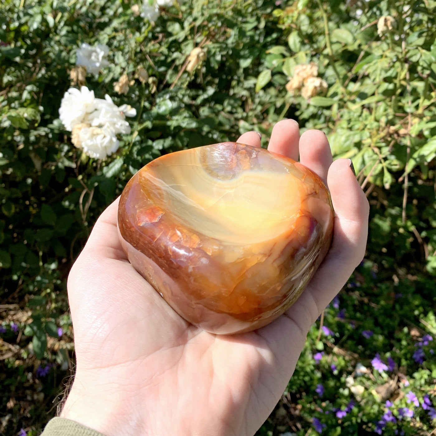 hand holding up Polished Carnelian Decorative Bowl with plants in the background
