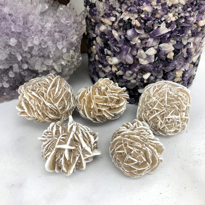 5 Desert Rose Gypsum on White Background.