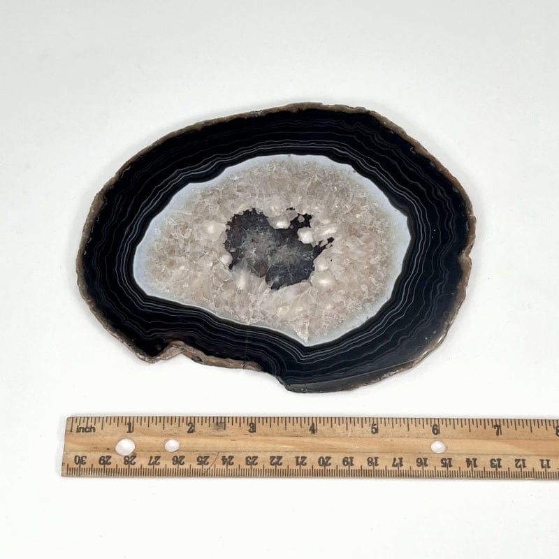 black agate slice next to a ruler for size reference 