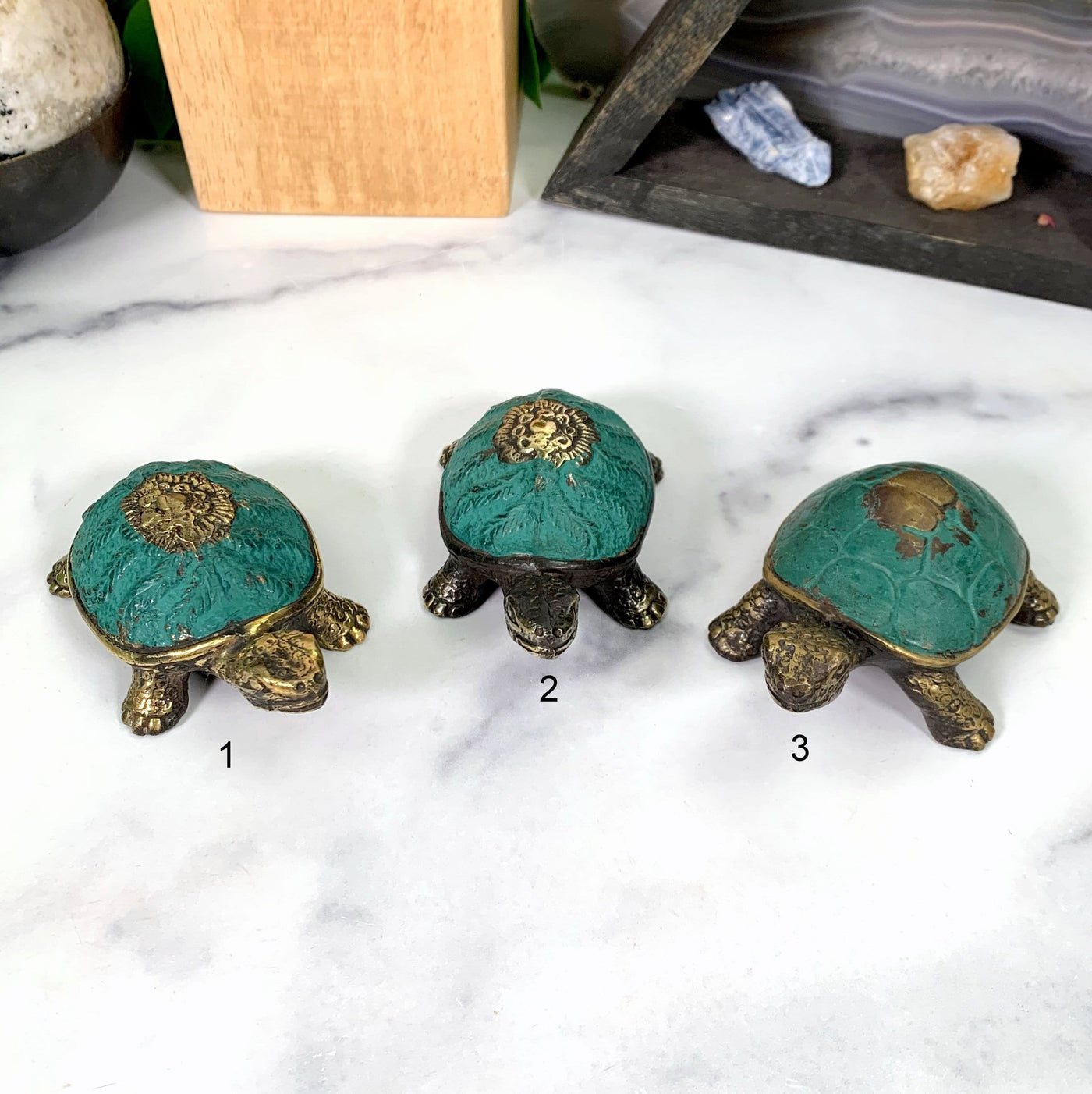 3 style brass teal turtle shell Option 1: Golden brass head with teal shell and brass lotus flower  Option 2: Black brass head with teal shell and brass lotus flower  Option 3: Black/Golden brass head with teal shell