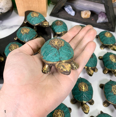 Brass Turtle Teal Shell on hand for size reference