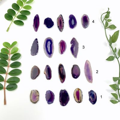 different variations of Purple Agates Set  on white background
